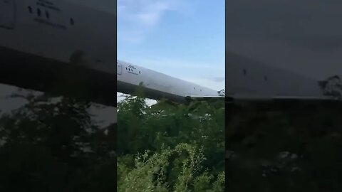 That’s One Way To Trim The Bushes! 🤣