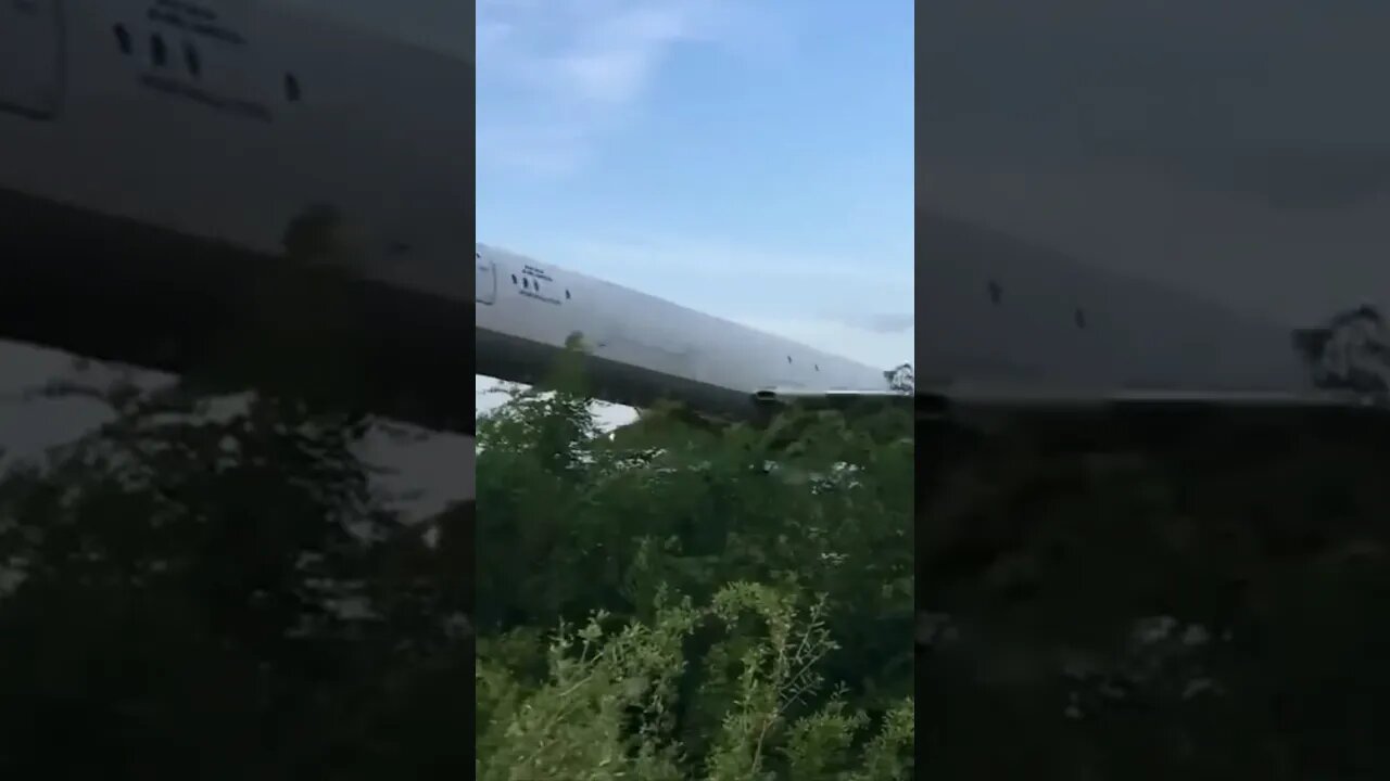 That’s One Way To Trim The Bushes! 🤣