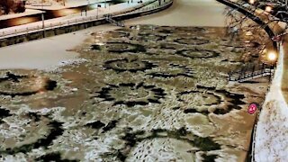Was it aliens? 'Crop circles' on Rideau Canal have a terrestrial explanation