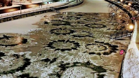 Was it aliens? 'Crop circles' on Rideau Canal have a terrestrial explanation