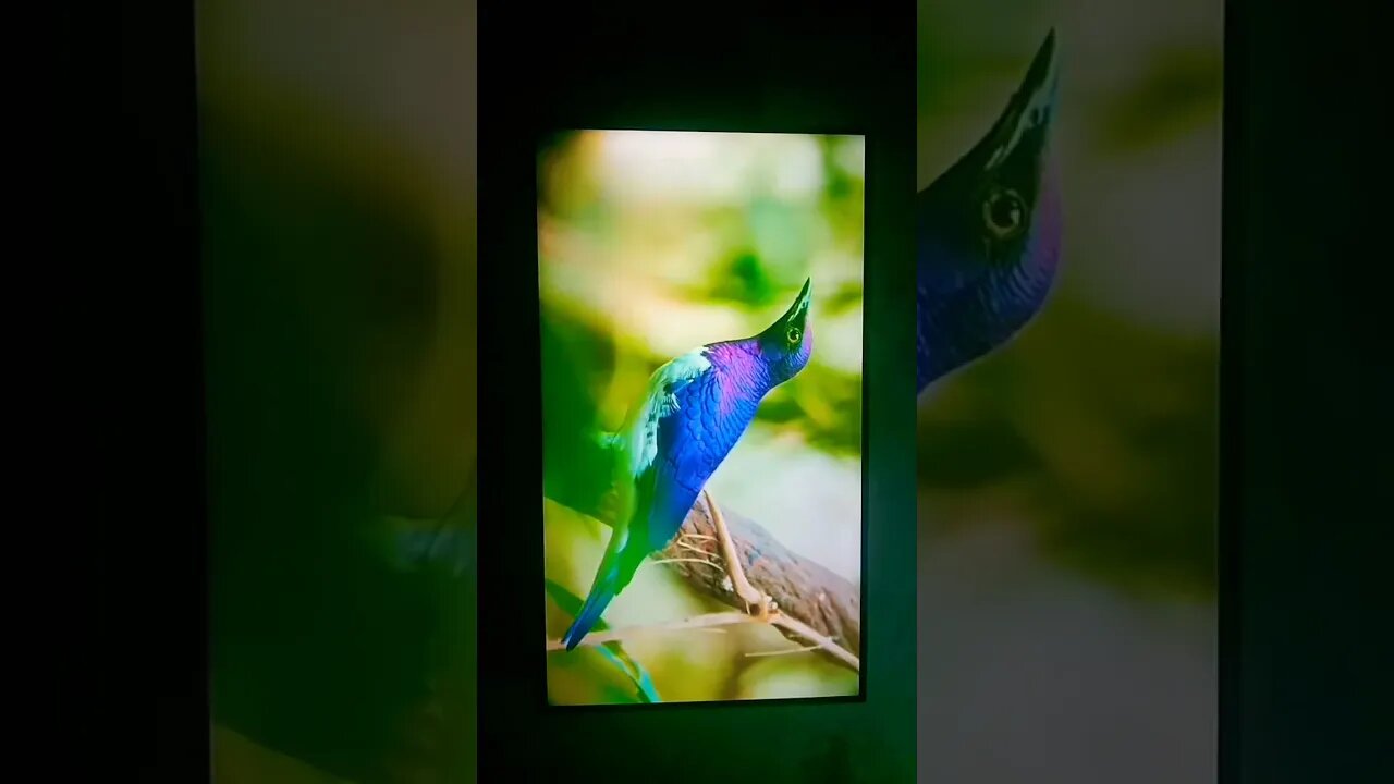 #viral #nature #edit #shortsviral #naturebeauty #shortvideos #shortvideo #videoediting #mukbang