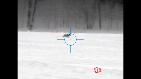 Snow Thrower