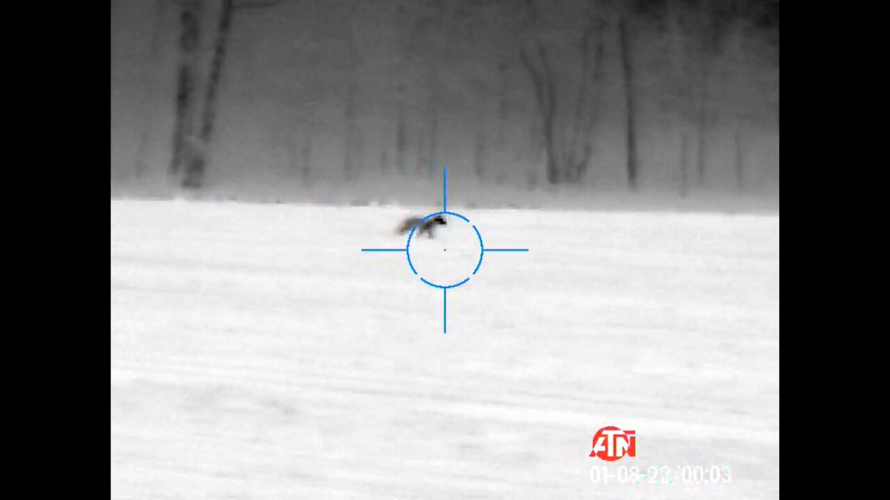 Snow Thrower