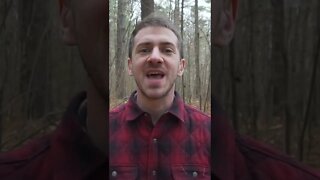 3 Unique Mushrooms to Forage!