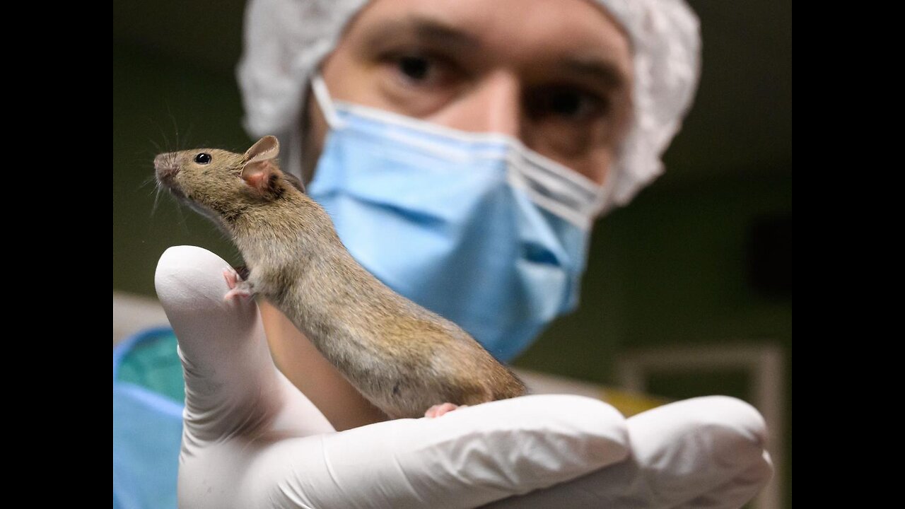 New Mice AIDS & Potential US Covid Creation