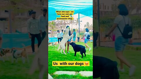 Tag your Pet Pawrents 😍 #goldenretriever #ytshorts