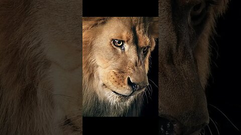 So your choice #viral #fyp #shorts #shocking #funny #memes #lol #amazing #real #challenge #lion