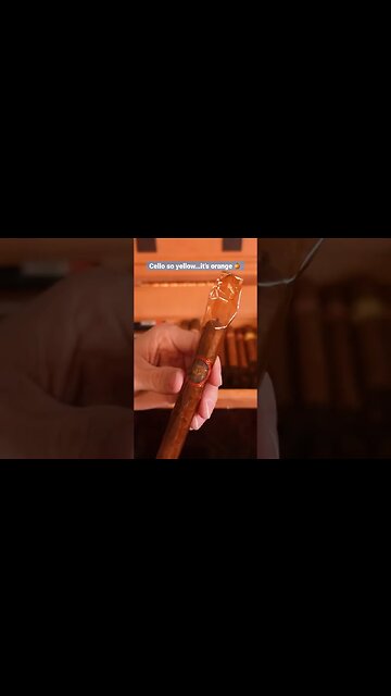 REALLY Yellow Cello #cigar #cigars #aged #luxury