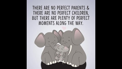 No perfect parents [GMG Originals]