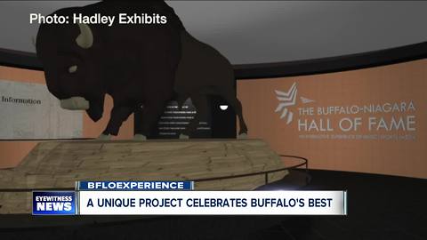 BFLOExperience: Three Hall of Fames under one roof
