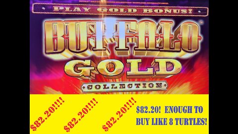 $82.20 win on Buffalo Gold Collection at Easy Street Casino in Central City, Colorado