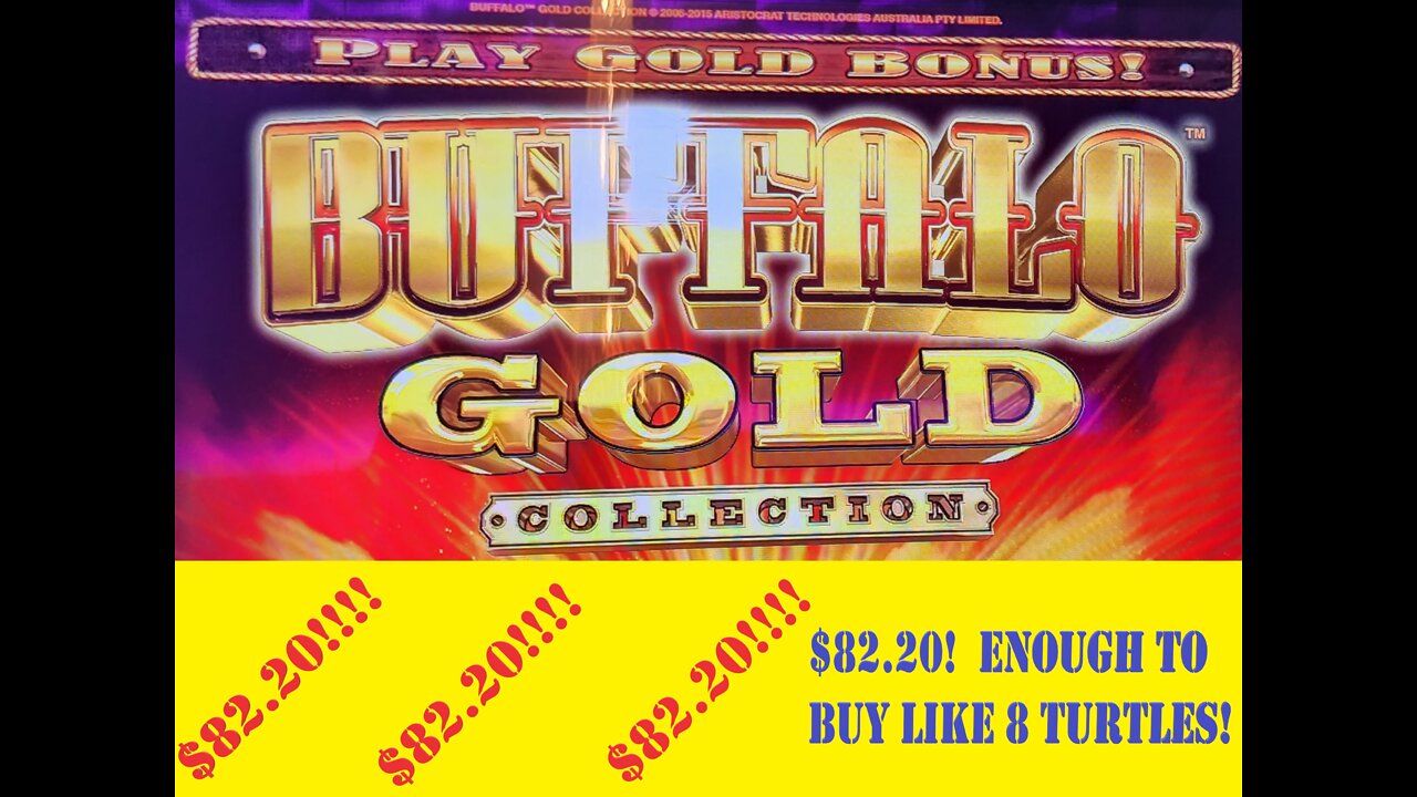 $82.20 win on Buffalo Gold Collection at Easy Street Casino in Central City, Colorado
