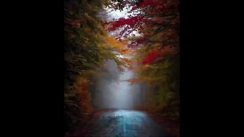 #relaxing #fall #fallvibes #fallcolors #autumn #autumnleaves #autumnvibes #fall #photooftheday