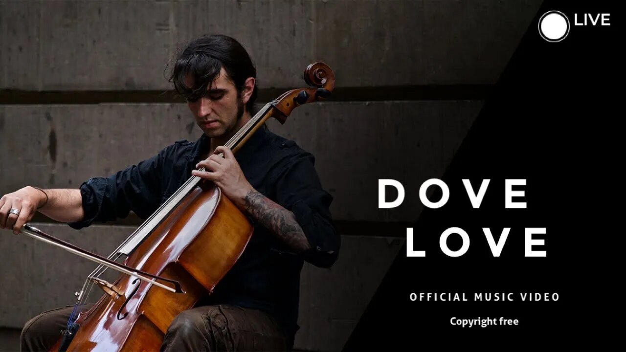 Dove Love official music ( copyright free ) #music