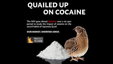 Crazy, Stupid and Wasteful spending by our Government