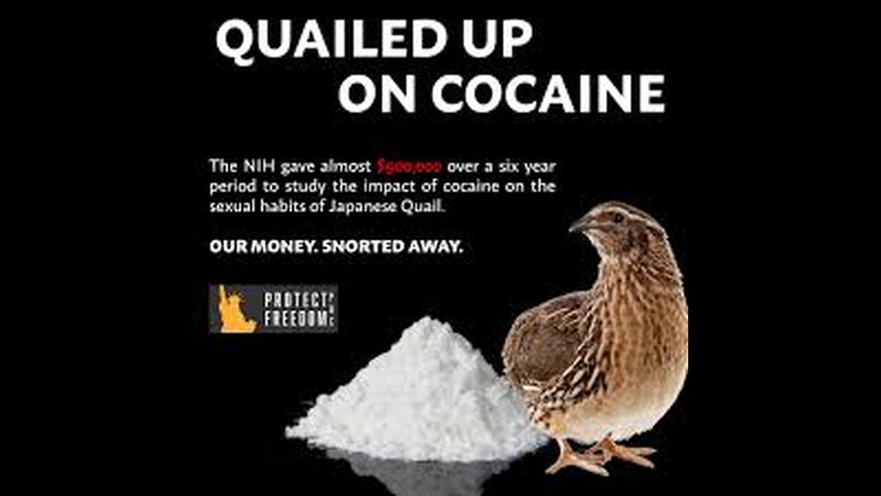 Crazy, Stupid and Wasteful spending by our Government