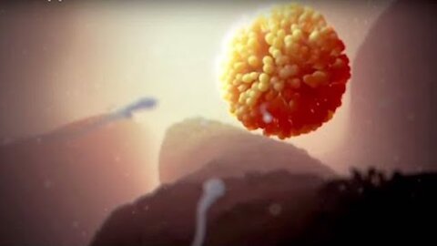 Fertilization || By The Nucleus Medical Media !!