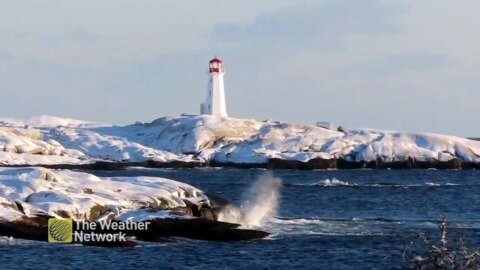 Lighthouse overlooks a sunny day by the ocean