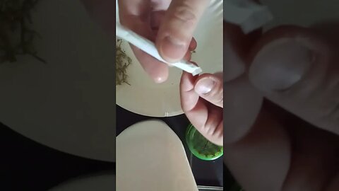 Roll Like Riz 😎🔥💨