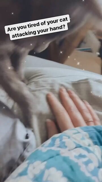 May I present: THE DECOY HAND