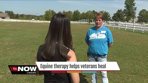 Equine therapy program helps veterans and their families cope with loss and PTSD