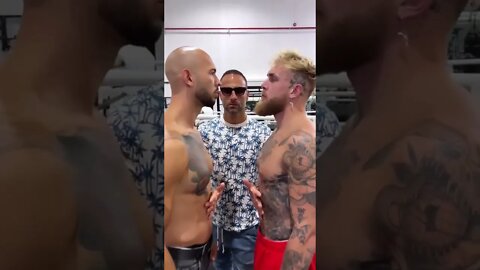 Andrew Tate Vs Jake Paul 🔥 #shorts #fight #andrewtate