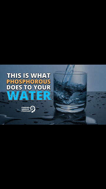 This Is What Phosphorous Does to Your Water #shorts