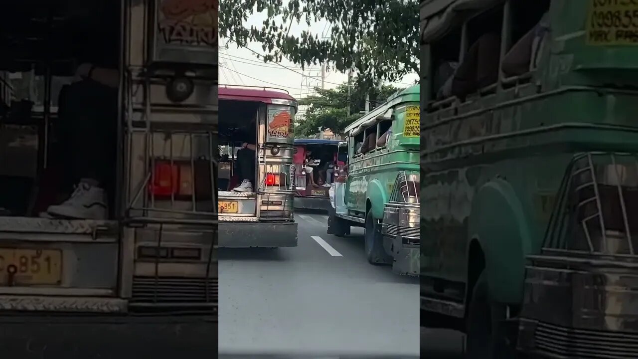 Jeepneys everywhere #shortsvideo #shortvideo #philippines #travel #shortsfeed #shorts #short