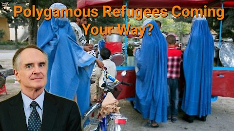 Jared Taylor || Polygamous Refugees Coming Your Way?