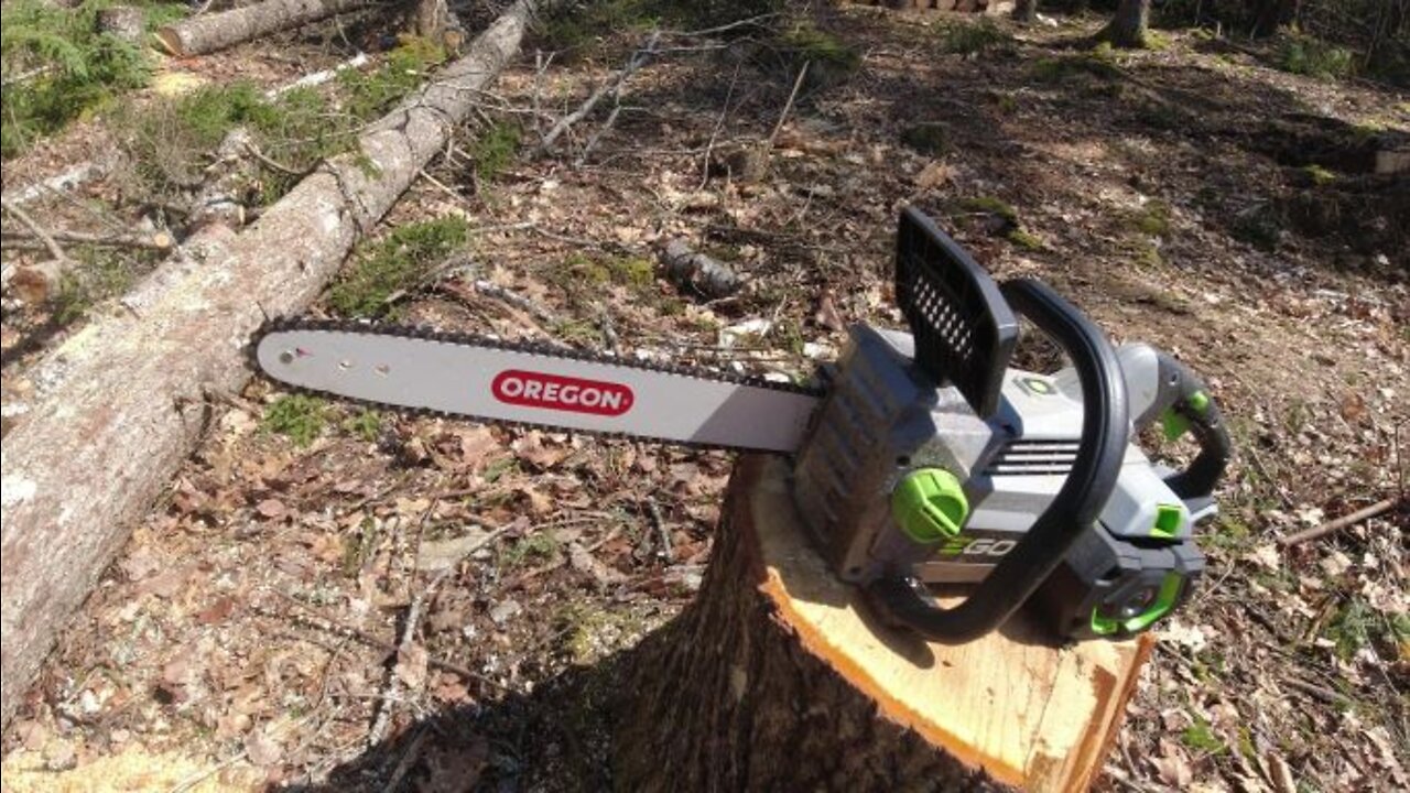 2 Year Review of EGO 18" Chainsaw