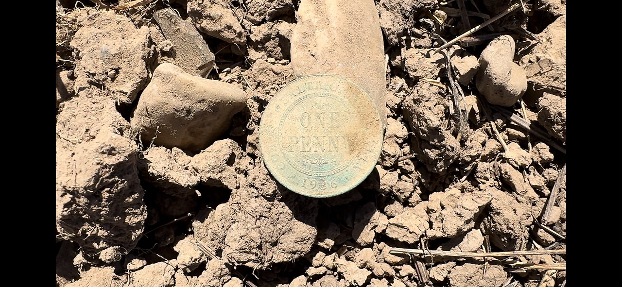 A Penny For Your Thoughts