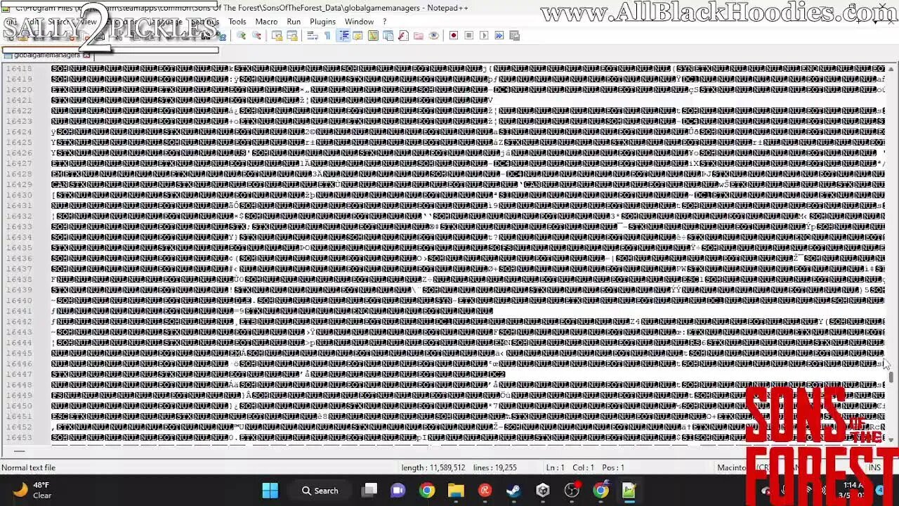 How To Edit Sons Of The Forest Save Data ? Ultimate Dup Glitch