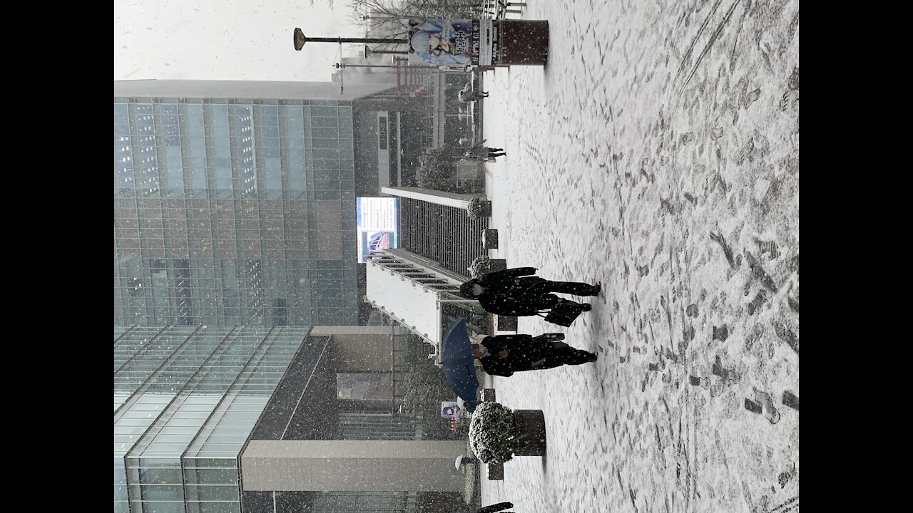 Tokyo - Akihabara snowing