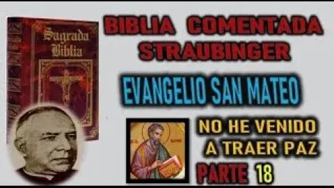 BIBLIA NO HE VENIDO A TRAER PAZ BIBLIA STRAUBINGER