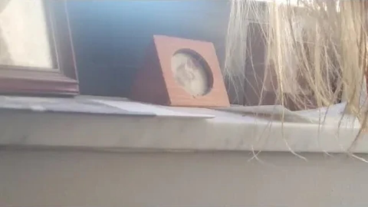 Just In Case We Missed The Spirit Mission Flight Army Navy