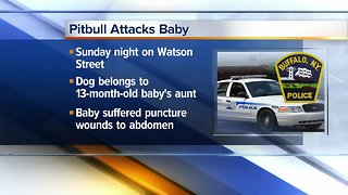 Baby hurt in pitbull attack in Buffalo