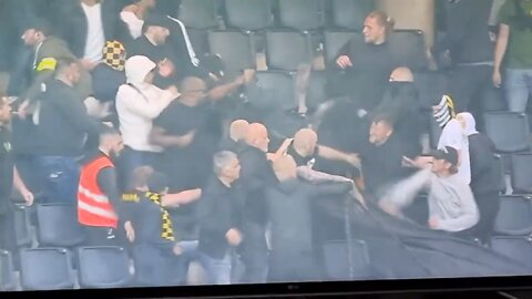 Football Hooligans fight on stands