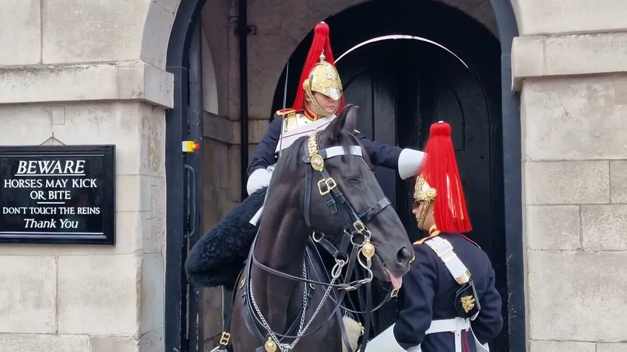 female kings guard sorts out male guards hair plum #horseguardsparade