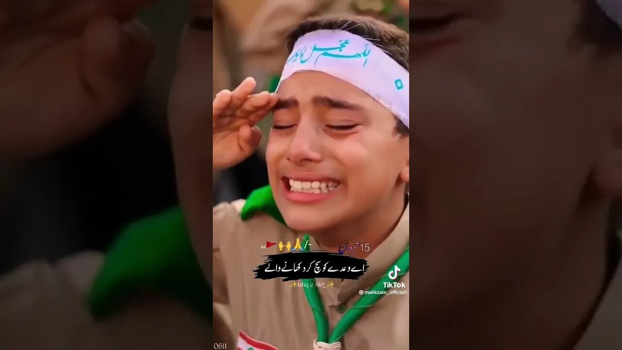 Salaam ya Mehndi