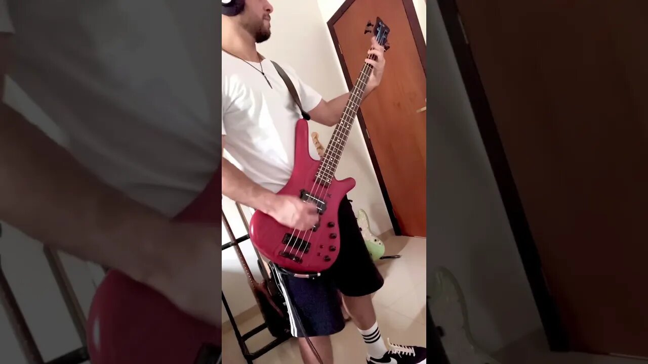 Symphony Of Destruction Megadeth. (Bass cover)