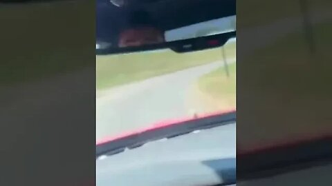 COPS VS HELLCAT