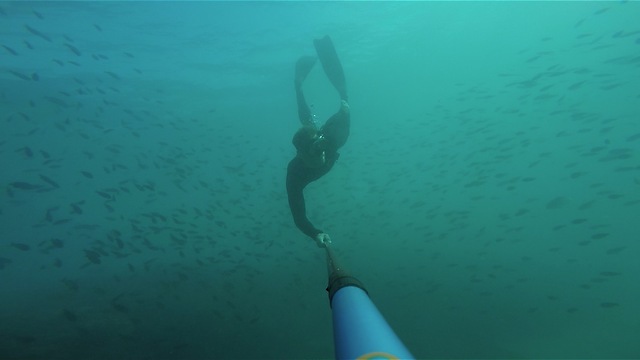 GoPro captures mesmerizing underwater experience