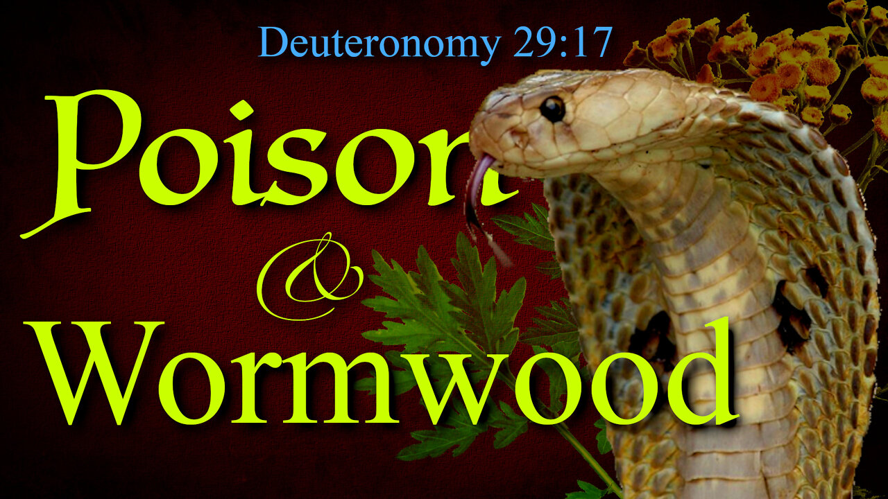 Poison and Wormwood: Exegesis of Deuteronomy 29:17