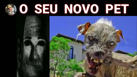 SR. INCRÍVEL FICANDO PERTURBADO (SEU NOVO PET) #memesbr #srincrivelmemes