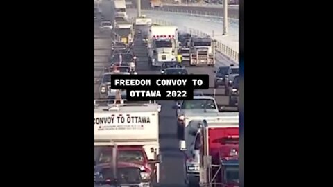 FREEDOM CONVOY 2022 CANADA🇨🇦