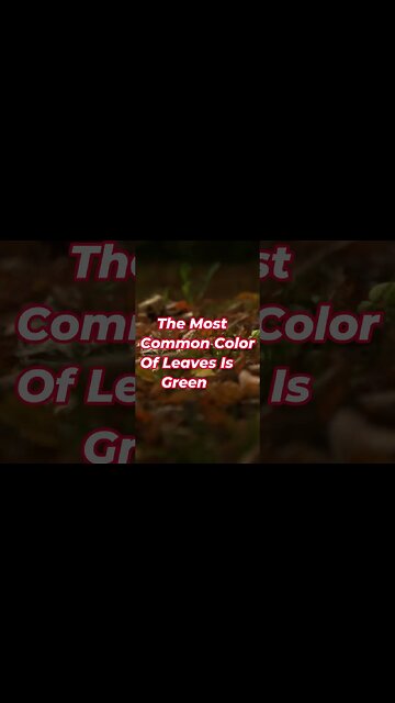 Leaf Sounds And Facts #Shorts 🍁