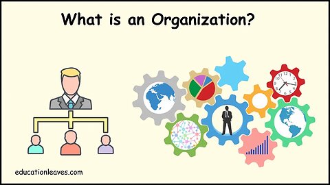 What is an Organization? | Elements, Process, importance of Organization