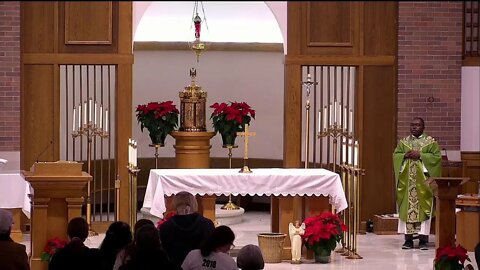 Holy Family and St. John's Liturgies and Services