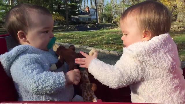 "Twin Babies Fighting Over Pacifiers"