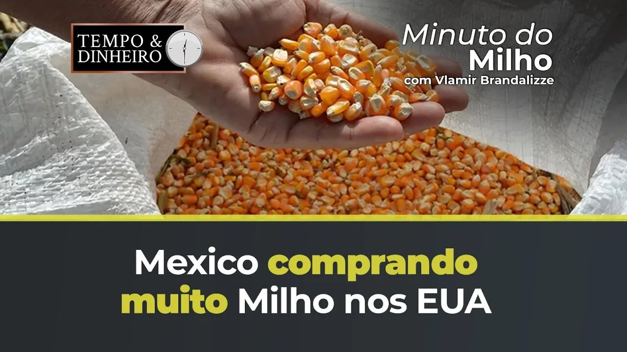 México comprando muito milho nos EUA